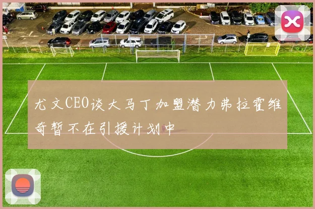 尤文CEO谈大马丁加盟潜力弗拉霍维奇暂不在引援计划中