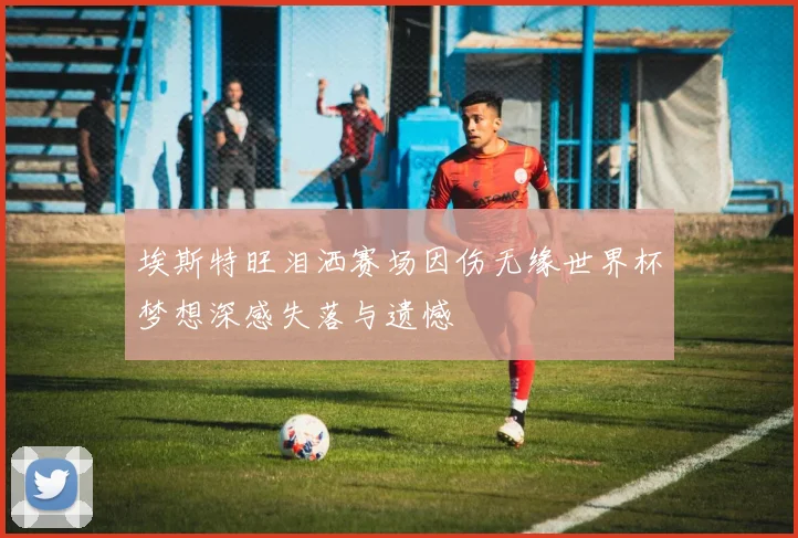 埃斯特旺泪洒赛场因伤无缘世界杯梦想深感失落与遗憾